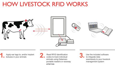 what is the meaning of rfid tag|rfid tags for animals.